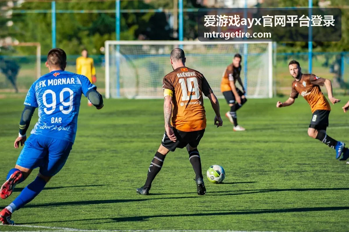 爱游戏ayx官网平台登录账号安全设置与客户端文件校验示意