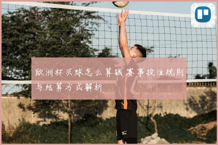 欧洲杯买球怎么算钱 赛事投注规则与结算方式解析