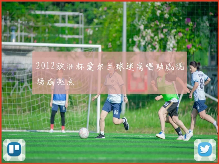2012欧洲杯爱尔兰球迷高唱助威现场成亮点